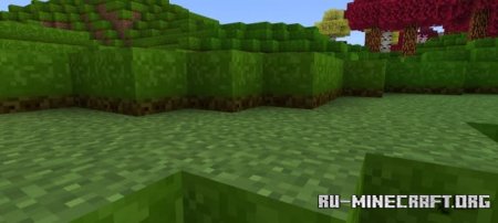     Minecraft PE 1.21