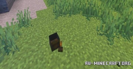  AurorianCraft:    Minecraft PE 1.21
