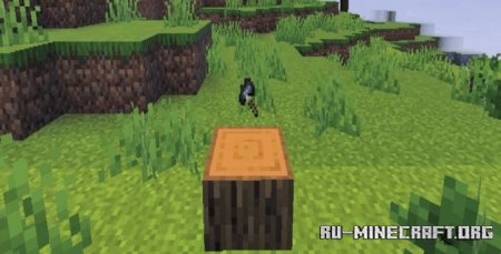  AurorianCraft:    Minecraft PE 1.21