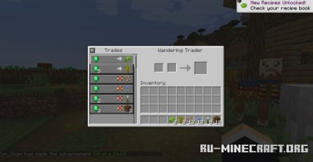  Wandering Trader May Leave  Minecraft 1.21.7