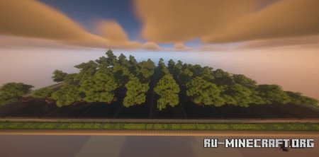  50 Oak Trees  Minecraft