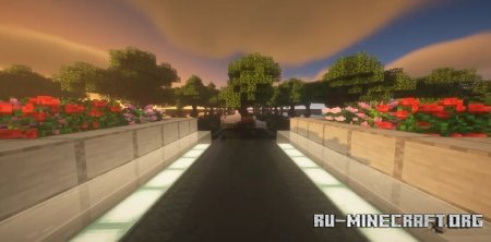  50 Oak Trees  Minecraft