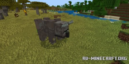    Minecraft PE 1.21