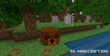    Minecraft PE 1.21