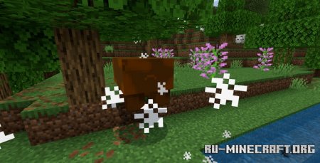    Minecraft PE 1.21