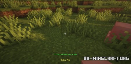  Click Mobs  Minecraft 1.21.8