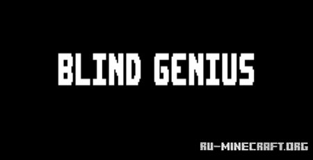  Blind Genius  Minecraft