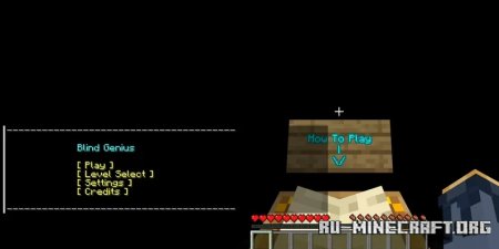  Blind Genius  Minecraft