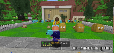     BONY162  Minecraft PE