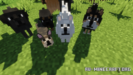  Better Dogs  Minecraft 1.21.7