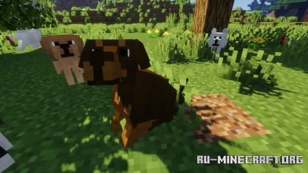  Better Dogs  Minecraft 1.21.7