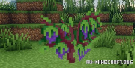  Borukva Food  Minecraft 1.21.7