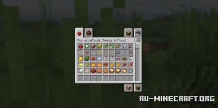  Borukva Food  Minecraft 1.21.7