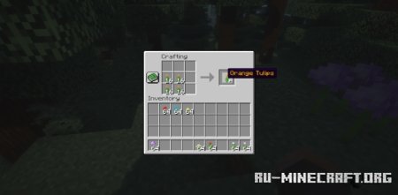  For Vanilla Flowers  Minecraft 1.21.8