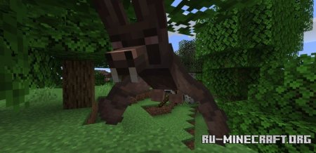  Direbats  Minecraft 1.21.8