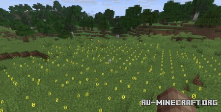  Light Level 2025  Minecraft 1.21.8
