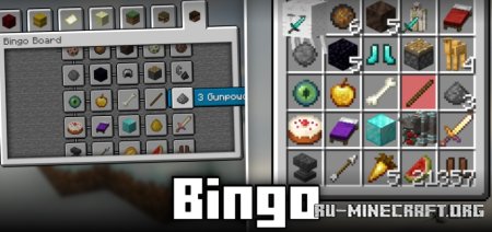  Bingo  Minecraft 1.21.8