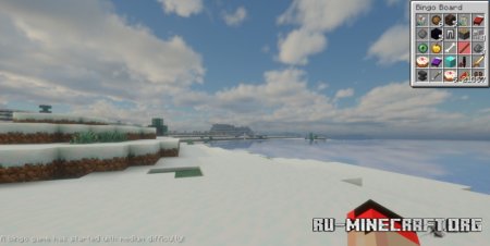  Bingo  Minecraft 1.21.8