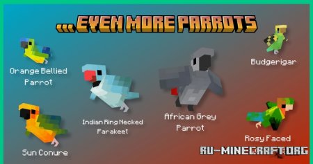     Minecraft PE 1.21