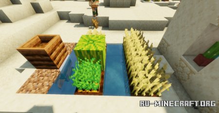  Bushy Crops  Minecraft 1.21.8