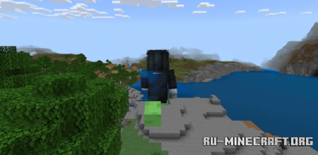     Minecraft PE 1.21