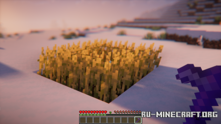  Hex Mod  Minecraft 1.21.8
