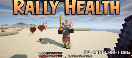  Rally Health  Minecraft 1.21.8