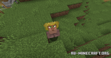  Stonks  Minecraft 1.21.8