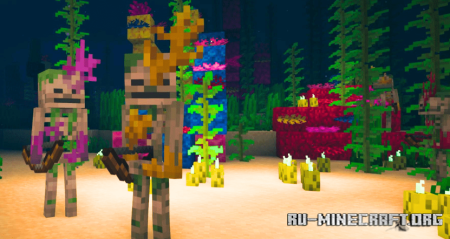  Variants and Ventures  Minecraft 1.21.8