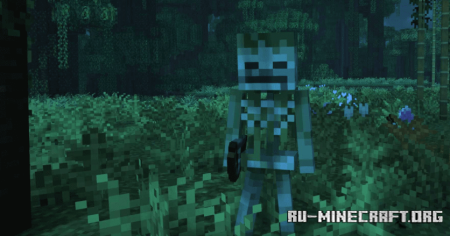  Variants and Ventures  Minecraft 1.21.8