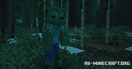  Variants and Ventures  Minecraft 1.21.8