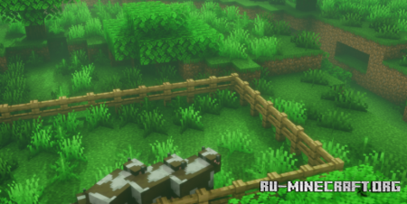  Too Many Entities  Minecraft 1.21.8