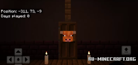  Dark Taiga Mansion  Minecraft