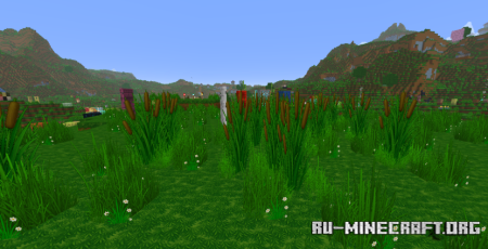  Runarok  Minecraft 1.21.8