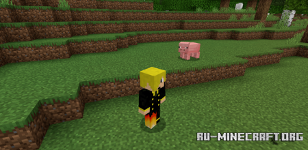     Minecraft PE 1.21