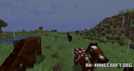  Rainy Day  Minecraft 1.21.8