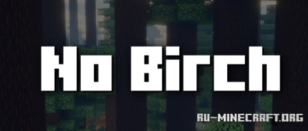  No Birch  Minecraft 1.21.3