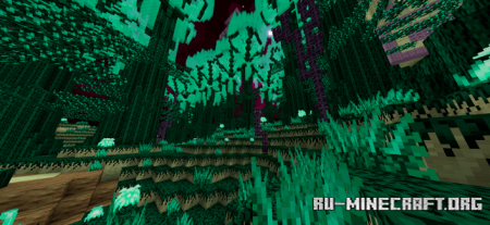      Minecraft PE 1.21