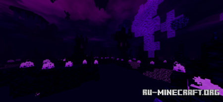      Minecraft PE 1.21
