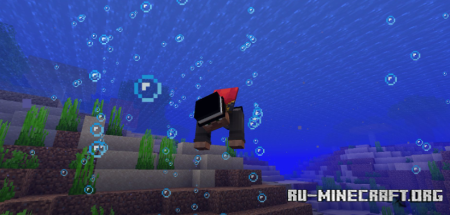  Blocky Bubbles  Minecraft 1.21.8