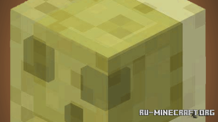     Minecraft PE 1.21