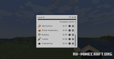  SkillMMO  Minecraft 1.20.1