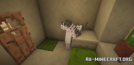  Cozys Improved Cats  Minecraft 1.21.8