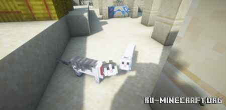  Cozys Improved Cats  Minecraft 1.21.8