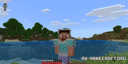      Minecraft PE 1.21