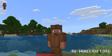      Minecraft PE 1.21