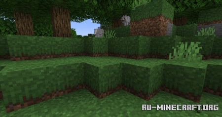  Open Lower Grass  Minecraft 1.21.8