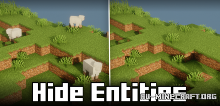  Hide Entities  Minecraft 1.21.8