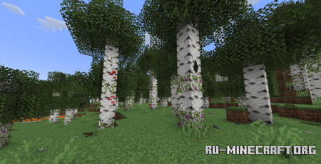  Musgo  Minecraft 1.21.8