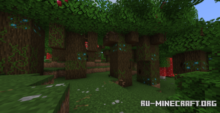  Musgo  Minecraft 1.21.8